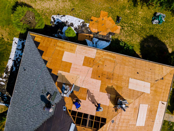 Best Metal Roofing Contractor  in West Columbia, SC